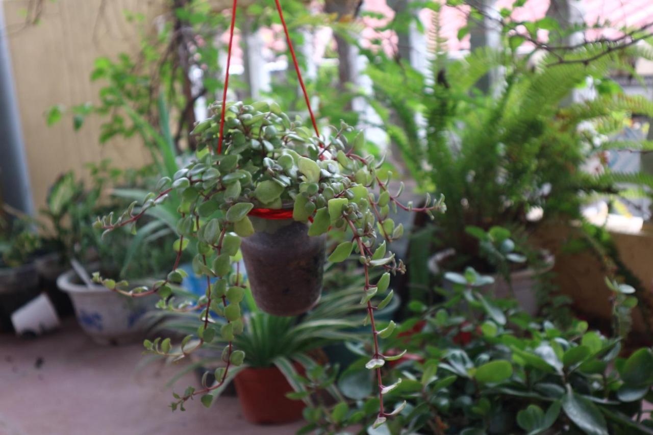 האנוי Kalon Homestay, Hai Ba Trung, Hn מראה חיצוני תמונה