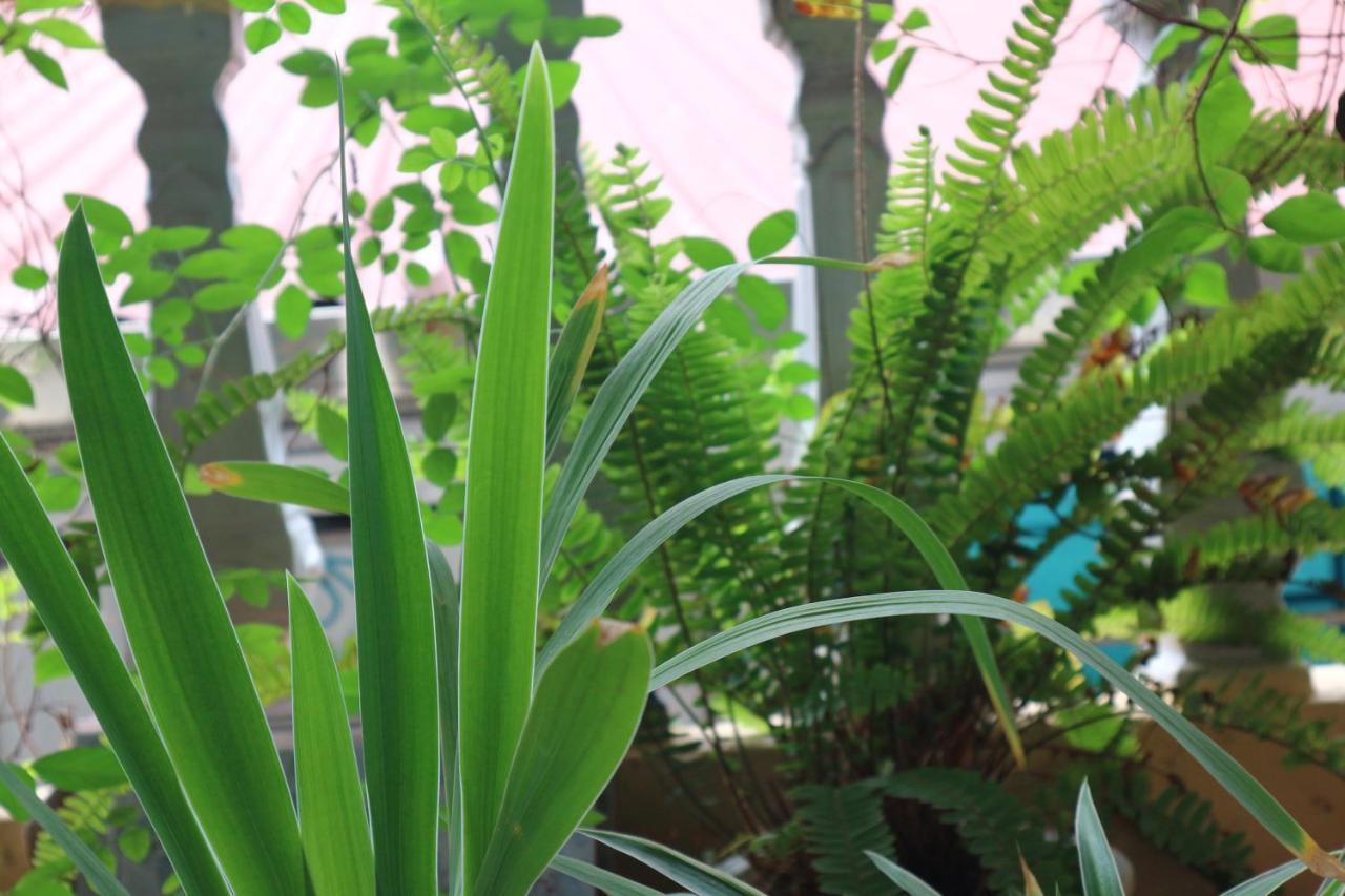 האנוי Kalon Homestay, Hai Ba Trung, Hn מראה חיצוני תמונה
